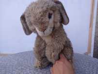 Peluche Steiff Coelho Altura 30 cm 2978/35