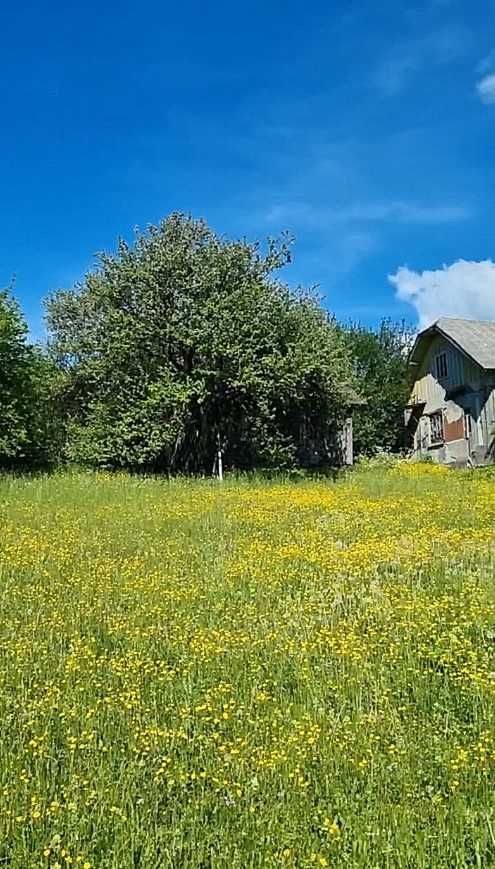 Земельна ділянка з будинком