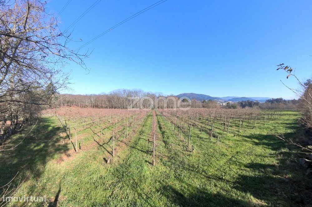 Quinta Agrícola 13300m2 em Barreiros, Amares