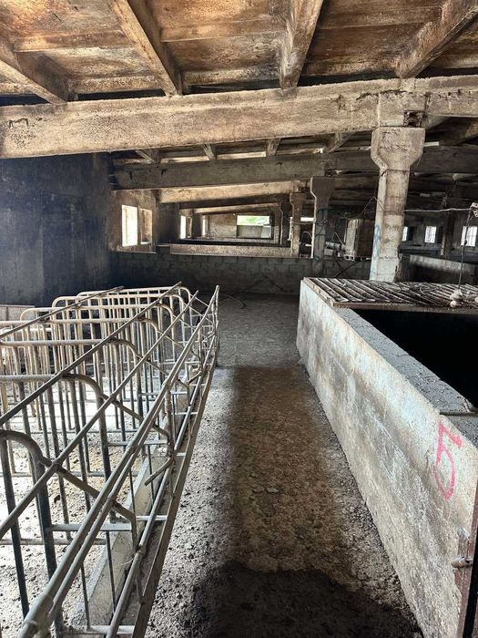 ОРЕНДА, ПРОДАЖ свиноферми