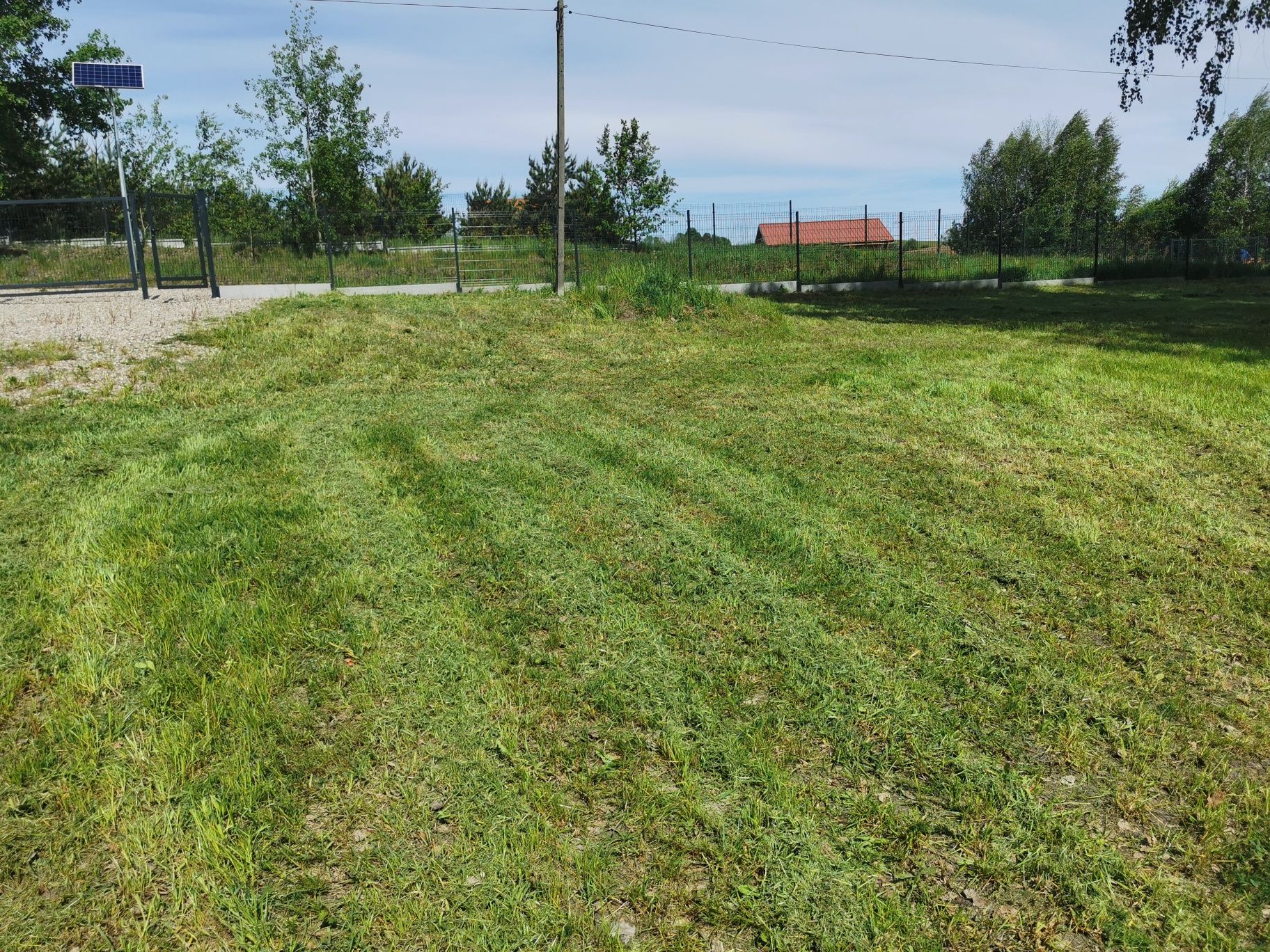 Koszenie traw, działek, ogrodów.