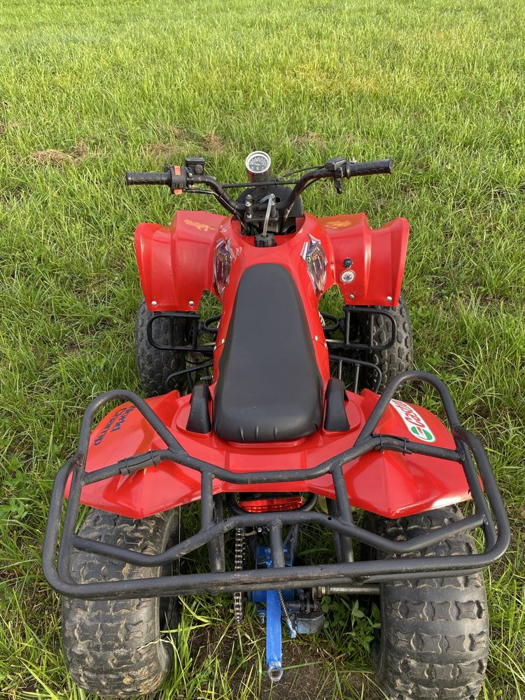Quad Bombardier 125ccm
