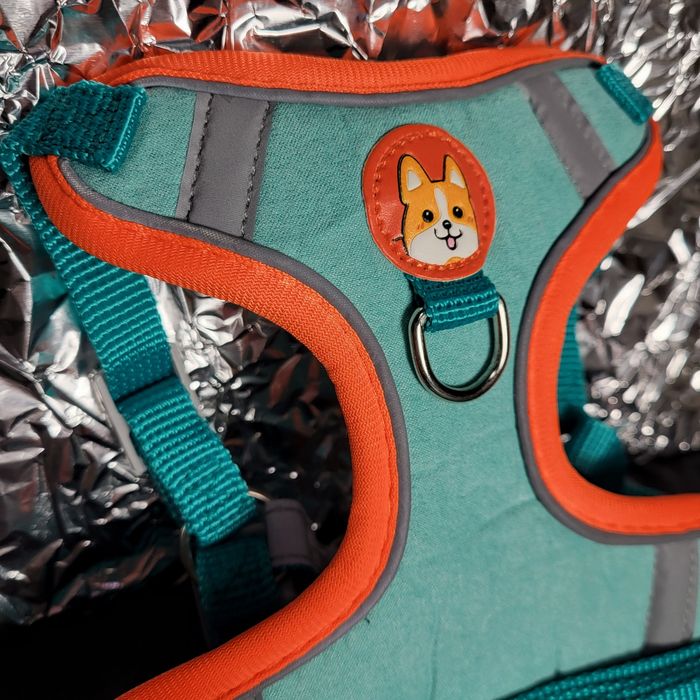 М'яка шлейка з повідцем для котів і маленьких собак