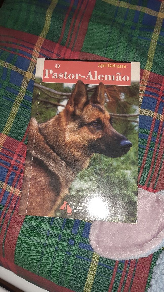 Vendo Livros seminovos