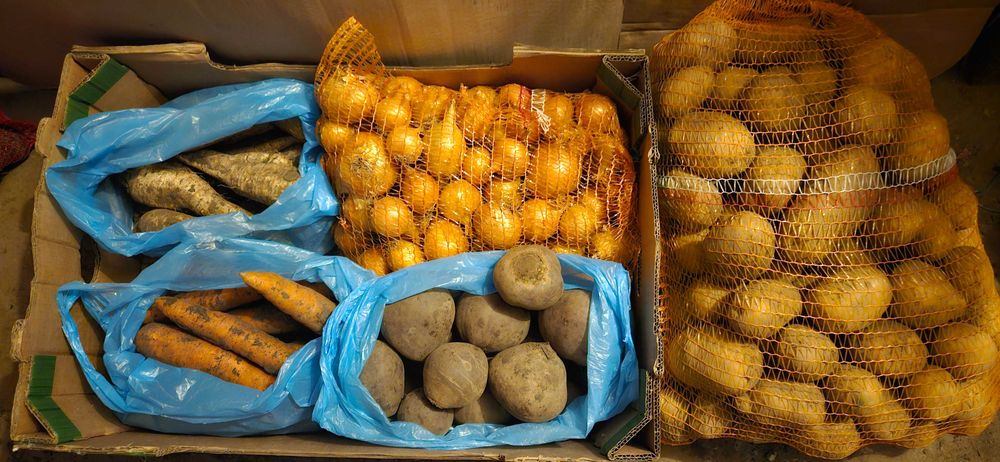 Warzywa zestaw - ziemniaki, cebula, marchew, pietruszka, buraczki