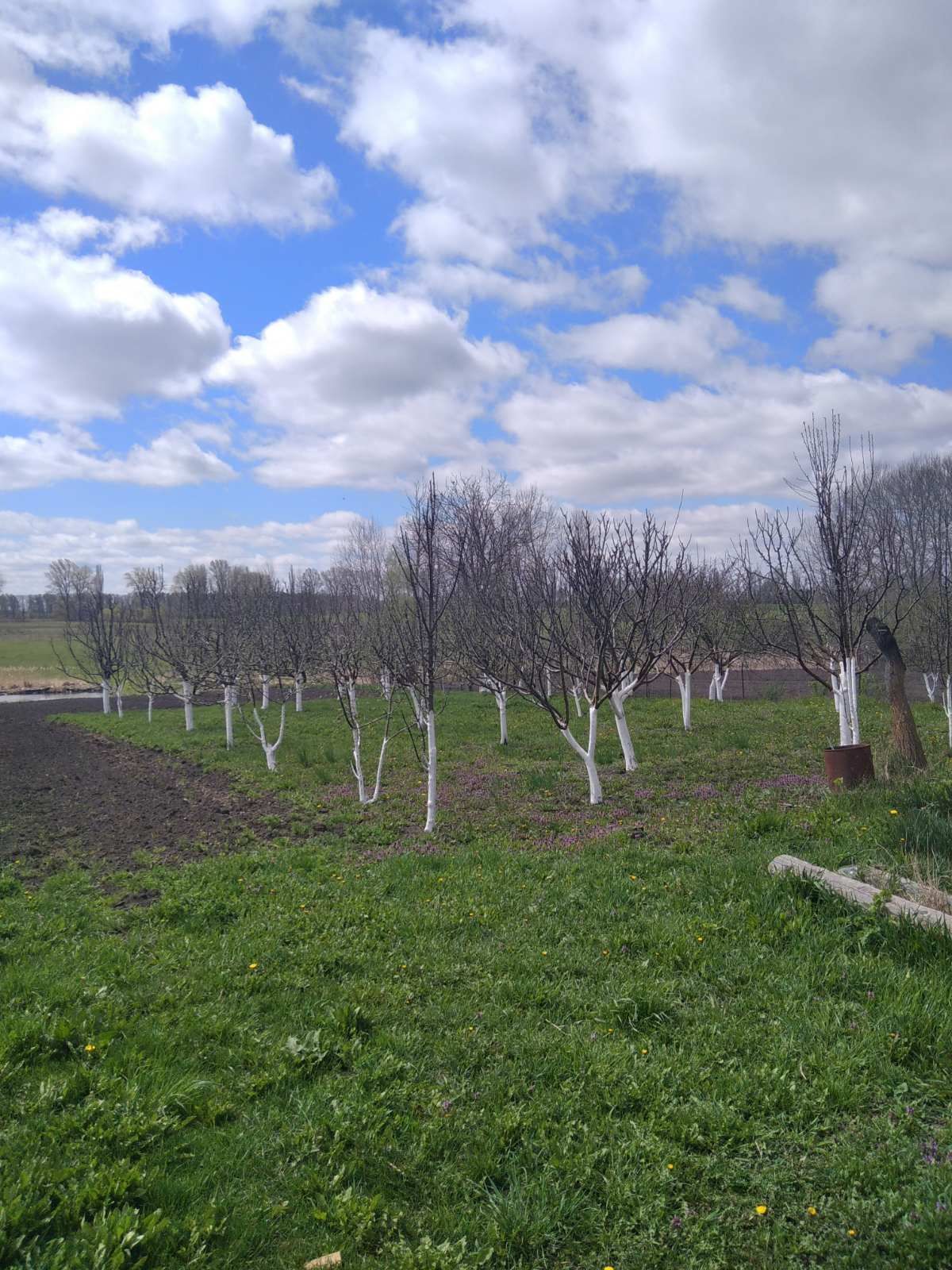 Продам будинок хату с Вишенька Вінницька обл.