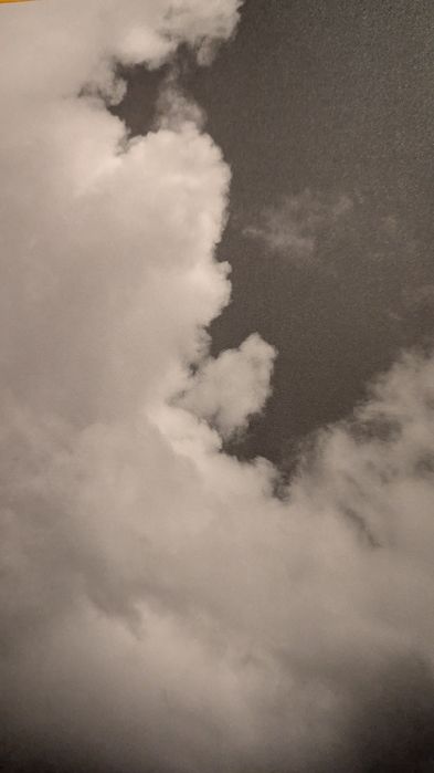 O livro da Maia Alfredo Cunha