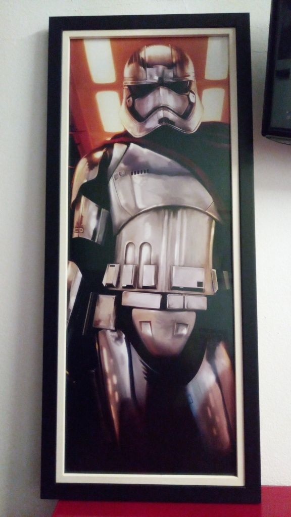 Quadro Stormtrooper Star Wars