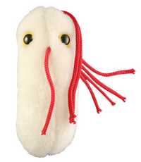 Maskotka Mikrob Salmonella