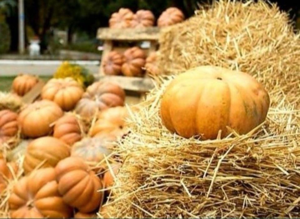 Декор Halloween хелувин хеллоуин хеловин хелоуин стог брикет сіна сіно