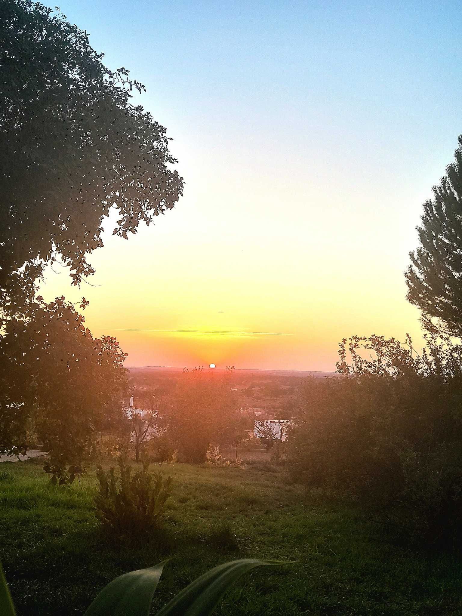 Refúgio de sonho em Portalegre! Quinta com Moradia de Charme!!