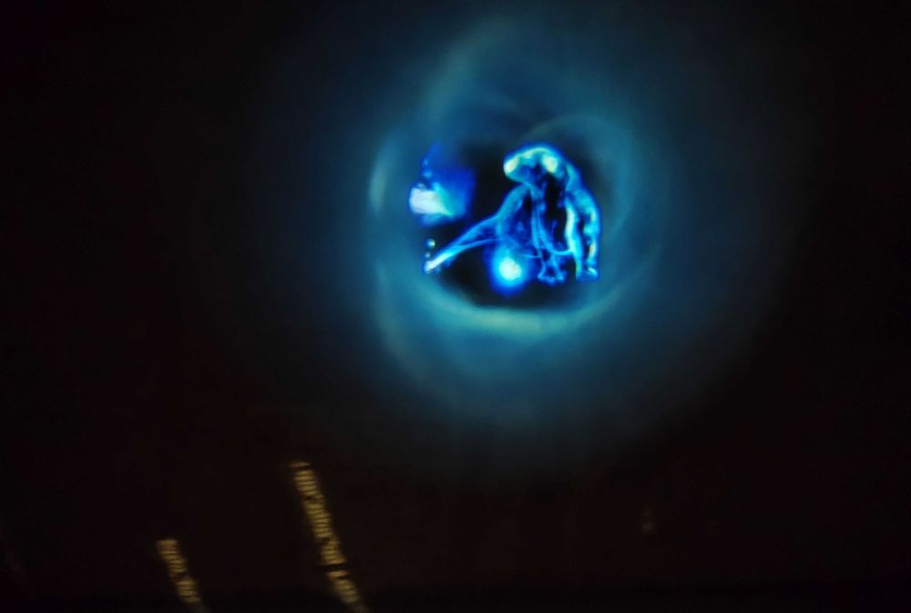 Harry Potter. Różdżka Hermiony z projektorem. Świeci i wydaje dźwięki.