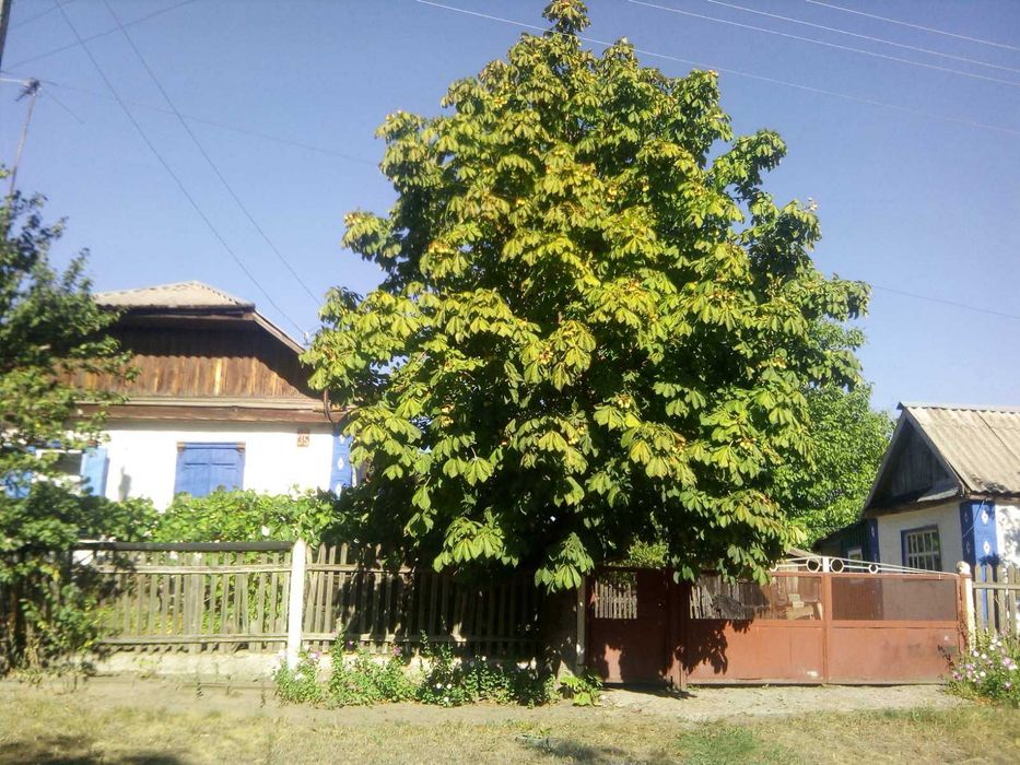 Продам 1/2 будинку