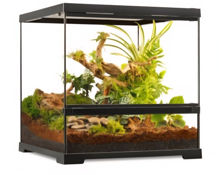 Terrarios novos varios tamanhos