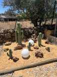 Cactus vários tamanhos em cimento verde - ornamentos jardim