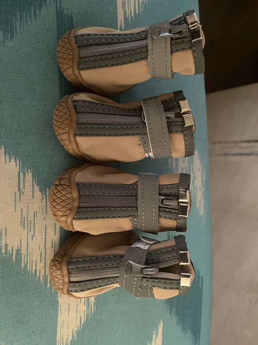 Шлея,  одяг та взуття  для  маленькоі собаки