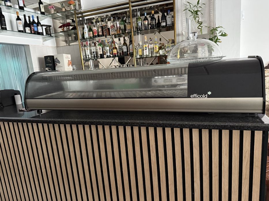 Vitrine Refrigerada Efficold