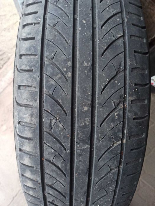 Резина летняя Premiorri Solazo