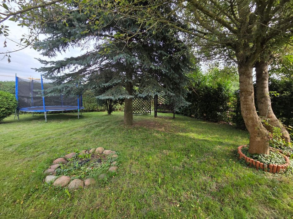 Działka ROD im. 50-lecia ZZK