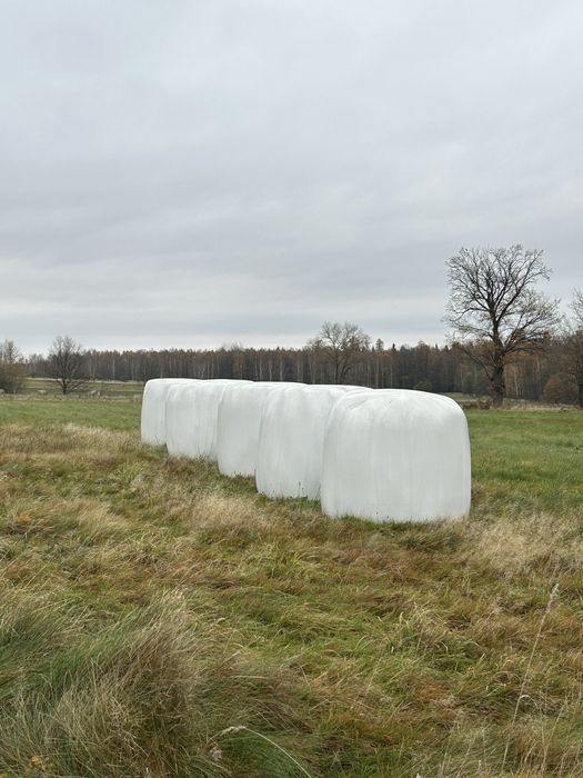 Sianokiszonka, baloty