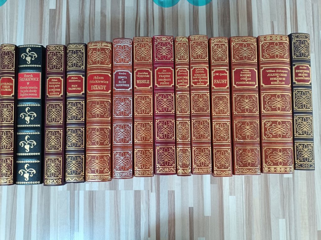 Klasyka literatury