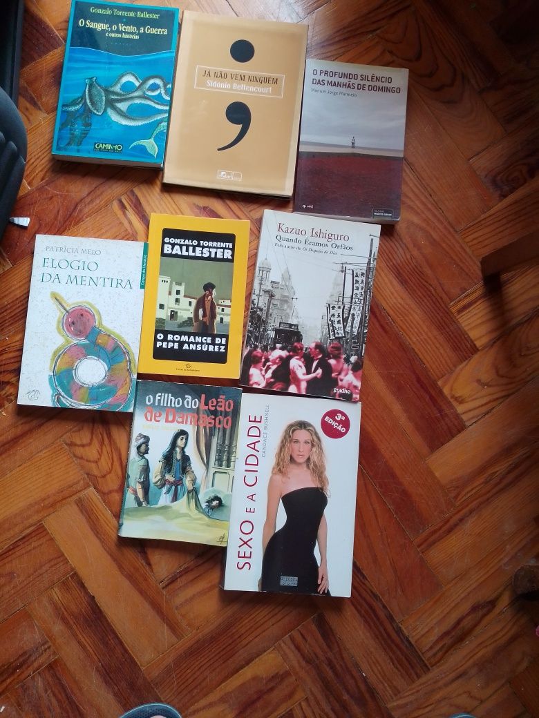 Saldos  Saramago/Ensino/educação /Inovação/Ficçao e outros Desde 3E.