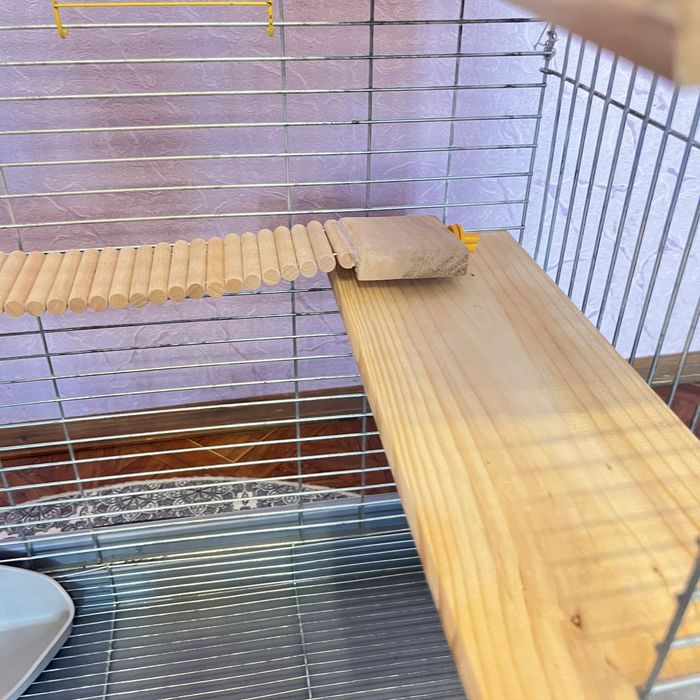 Клетка для грызунов большая.