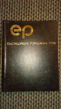 Encyklopedia Popularna PWN