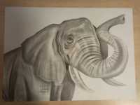 Duży rysunek słonia