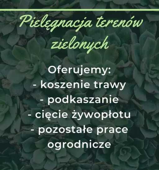 Koszenie działek, ogrodów, nieużytków, łąk, rowów, działek budowlanych