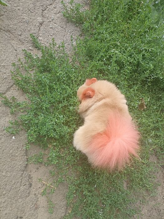 Гарний хлопчик запрошує на в'язку