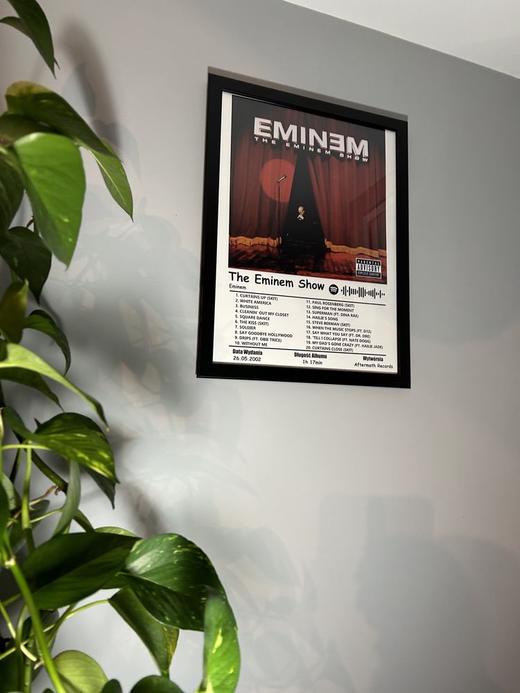Obraz album w ramce The Eminem show