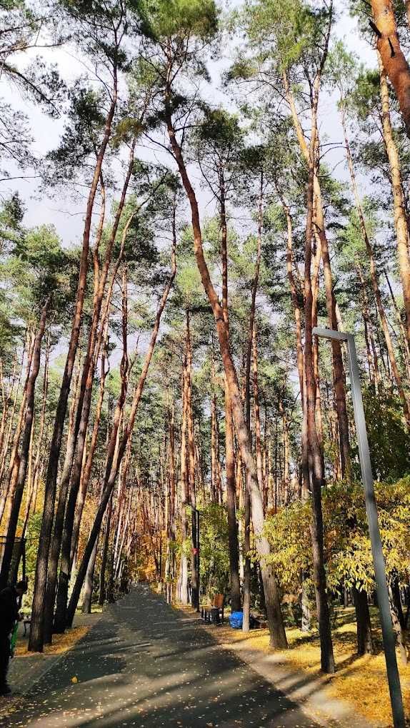м.Київ! Борщагівка . Двокімнатна видова Квартира з роздільними ходами.