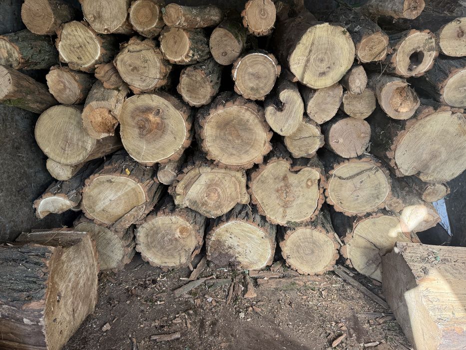 Дрова акация,дуб,ясень