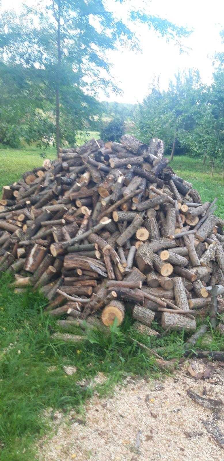 Продам дрова 10 кубометрів