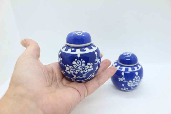 Par Potes Porcelana Chinesa Decoração Ginger a Azul e Branco XIX 7 cm