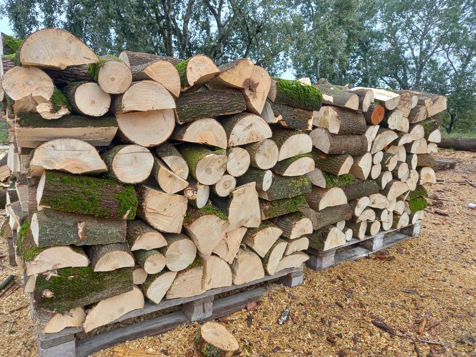 Sprzedam drewno, drzewo kominkowe,  opałowe