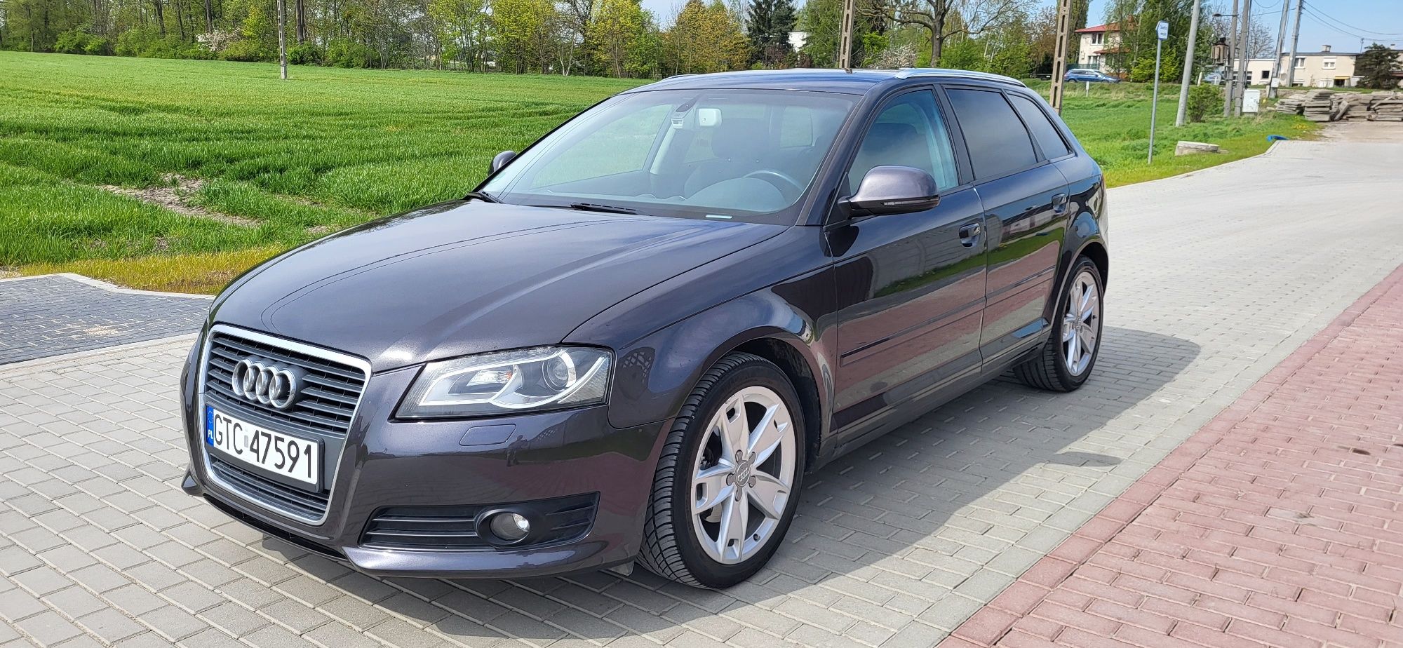 Audi A3 8P 2.0Disel 2010r Manual Zima/Lato