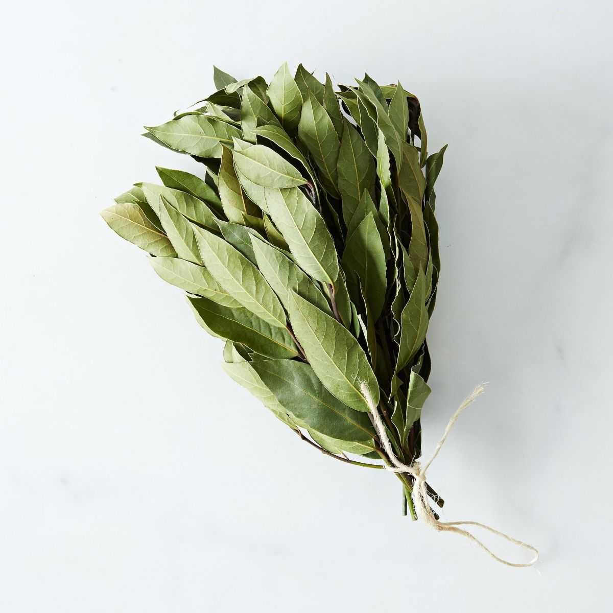 Folhas Louro verdes ou secas, sacos de 20g - tempero/chá
