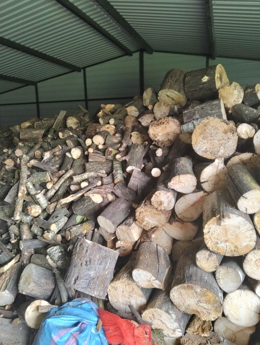 Drzewo, drewno opałowe kominkowe liściaste z dowozem i rozładunkiem.