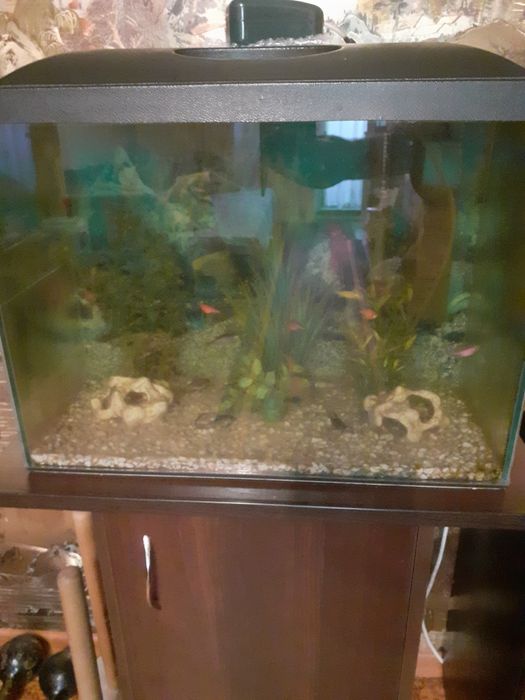 Продам аквариум с тумбой