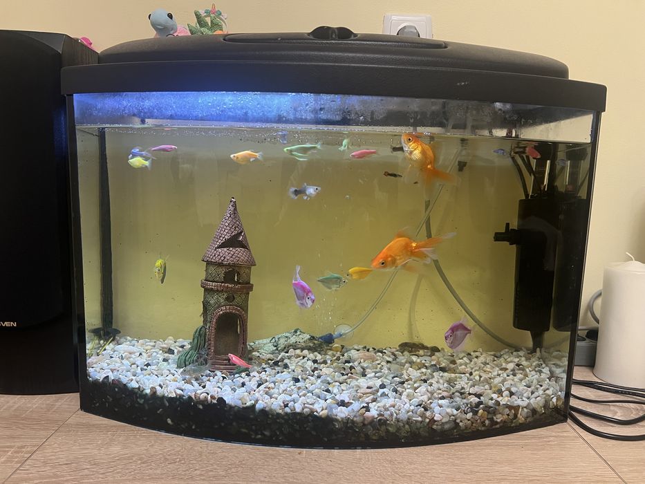 Аквариум 60 литров с рыбками и декором