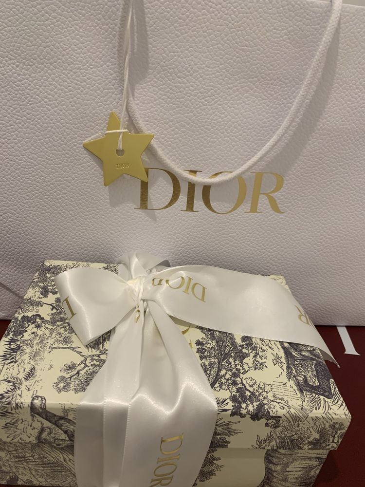 Dior bumbag/ bolsa de cintura
