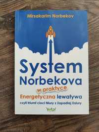 System Norbekova w praktyce energetyczna lewatywa Norbekov