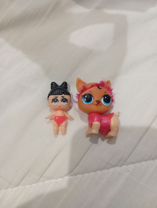 Побрита собака і дракон ґерл