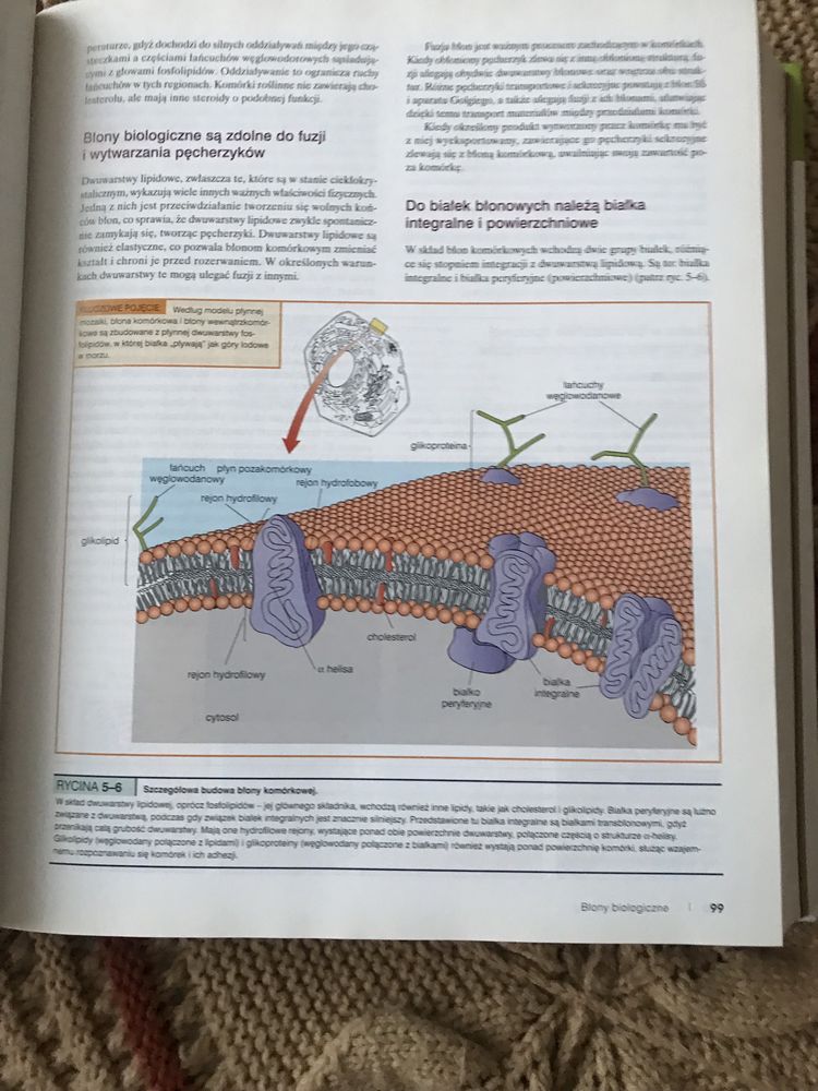 Biologia Villeego