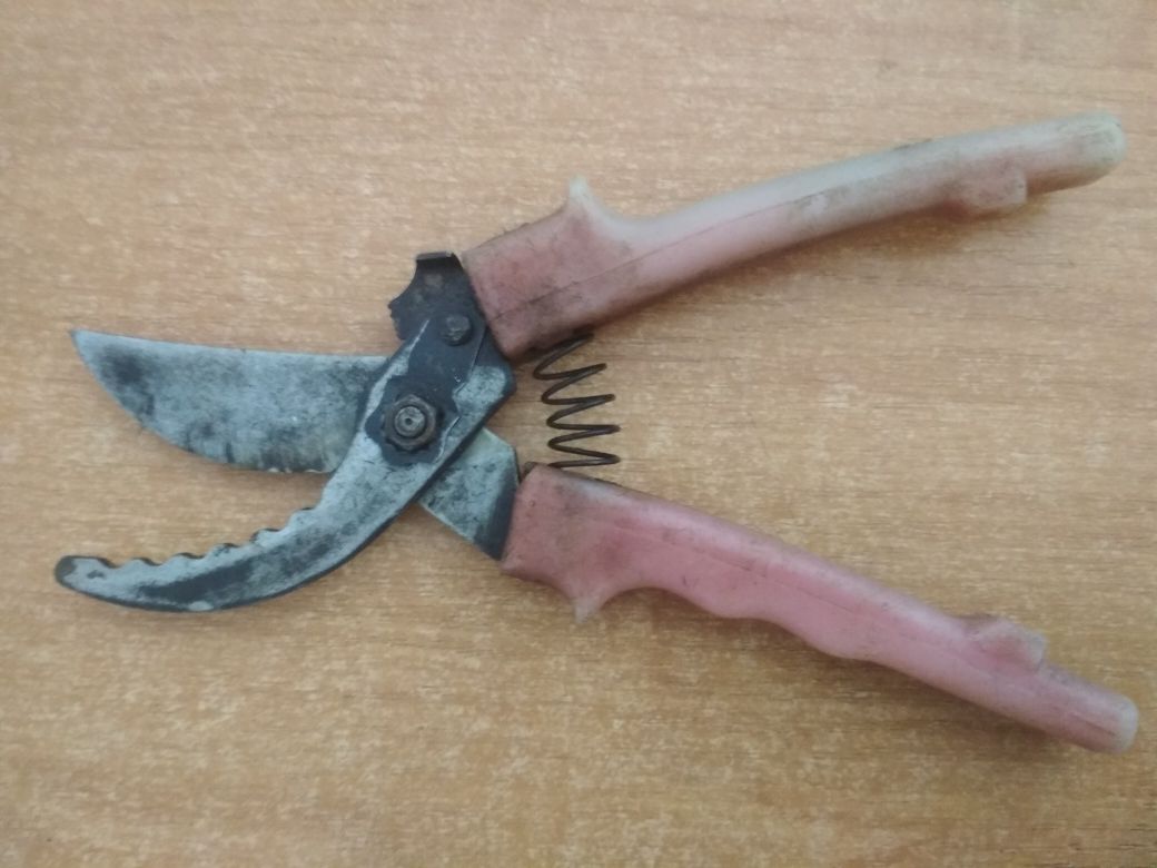 Секатор,садовые ножницы бу.