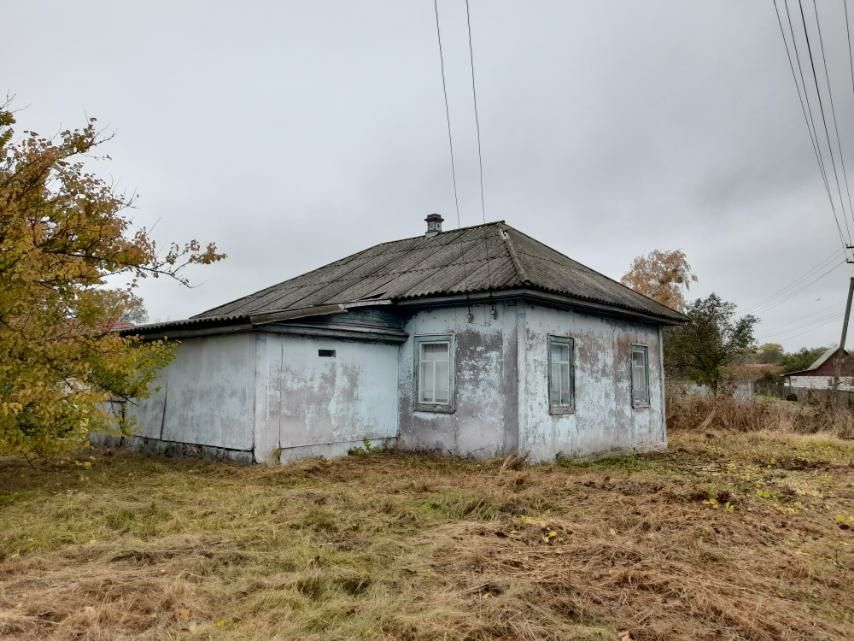 Продається житловий будинок із земельною ділянкою