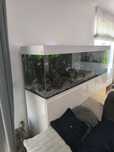 akwarium 540 l szafka na stelażu 2xfluval pyszczaki