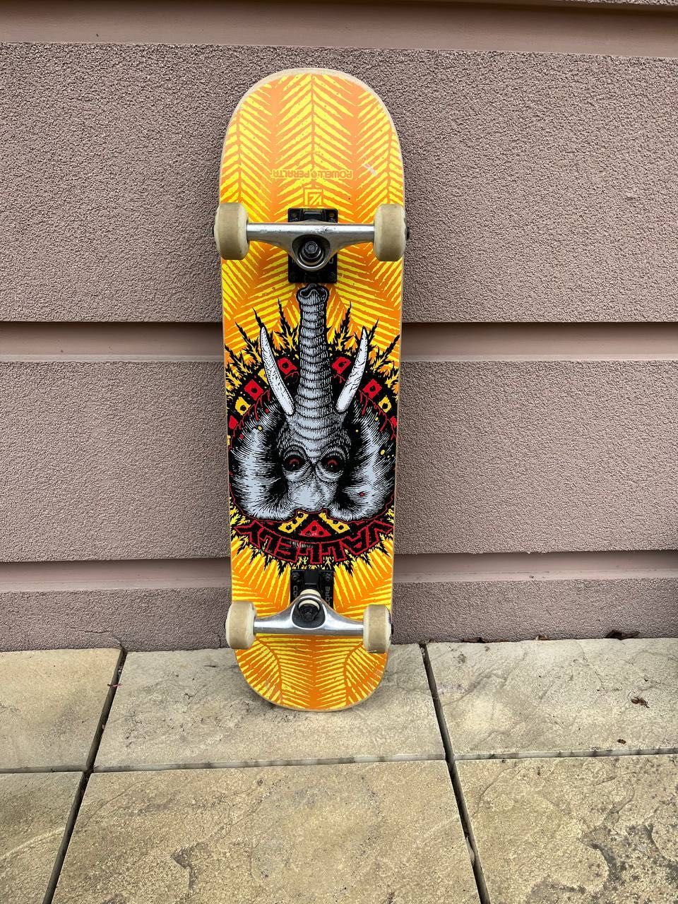 Deskorolka skateboard